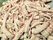 Куплю аорту говяжью Пенза