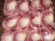 Купим утиные желудки очищенные Екатеринбург