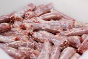 Купим утиные шеи Екатеринбург