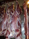 Куплю охлаждённое мясо говядины в тушах Красноярск