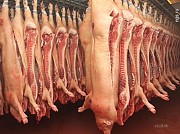 Предлагаем Полутуши свиные Воронеж