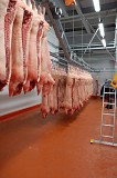 Закупаем в большом объеме свинину в Самаре Тольятти