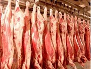 Предлагаем мясо коровье (говядина первой категории) Богатые Сабы