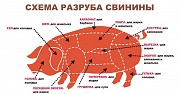 Предлагаем разделку свиную Ижевск