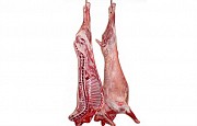 Куплю мясо баранины Астана