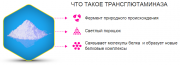 Предлагаем Трансглутаминаза, TG - Maxilact доставка из г.Барнаул