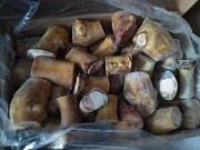 Продаю Ноги говяжьи РФ зам, от 20 кг  в Новосибирске  Новосибирск