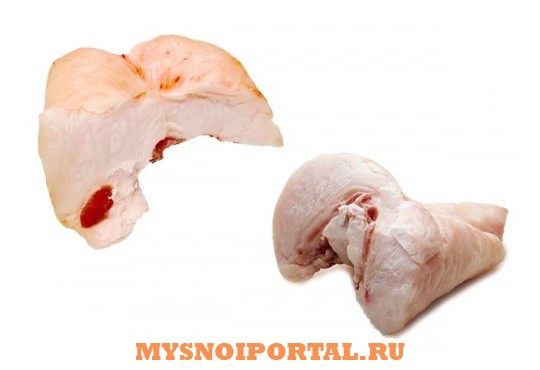 Что Такое Курдюк Фото