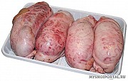 Куплю яичники говяжьи Ижевск