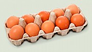 Предлагаем яйцо куриное Категория С2 Калининск