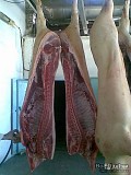 Продаю Полутуши Свиные в Новосибирске  Новосибирск
