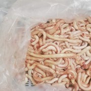 Закупаем субпродукты бараньи: Пенисы Москва