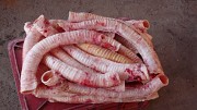 Закупаем субпродукты говяжьи: Трахею Москва
