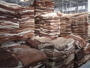 Куплю: закупаем шкуры КРС оптом от 20 тонн Богородск