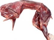 Куплю: мясо зайца Москва