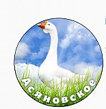 Яйцо гусиное инкубационное Линдовской породы Дюртюли