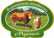 Куплю Быки, на убой в Санкт-Петербурге Санкт-Петербург