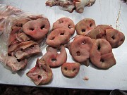 Куплю: пятаки свиные Старый Оскол