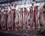 Говядина полутуша бык доставка из г.Уфа