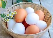 Предлагаем: Яйцо куриное Березовка