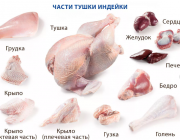Предлагаем: полуфабрикаты из мяса индейки доставка из г.Екатеринбург